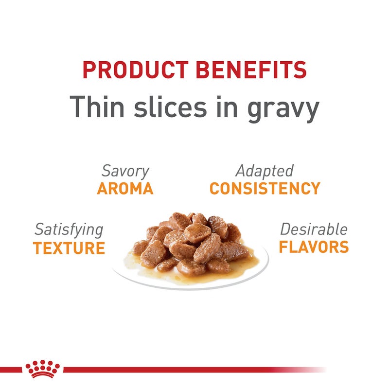 Royal Canin Feline Care Nutrition Hair & Skin Care Adult Thin Slices in Gravy Cat Food, 3 oz (Pack of 24) - Image 2